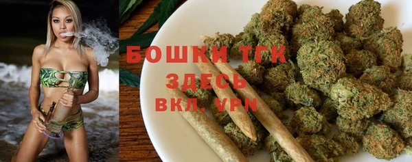 не бодяженный Михайлов