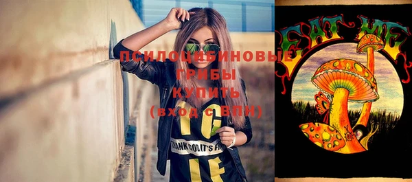 сатива Михайловка